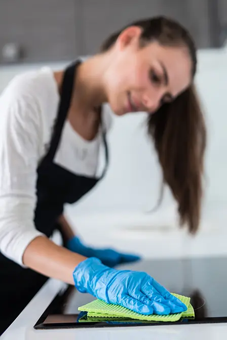 Professional Cleaning Services on Charlotte and Surroundings
